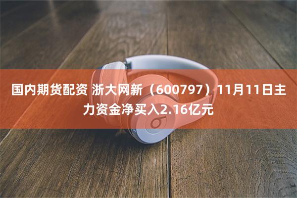 国内期货配资 浙大网新（600797）11月11日主力资金净买入2.16亿元