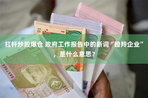 杠杆炒股爆仓 政府工作报告中的新词“瞪羚企业”，是什么意思？