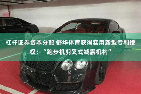 杠杆证券资本分配 舒华体育获得实用新型专利授权：“跑步机剪叉式减震机构”