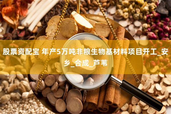 股票资配宝 年产5万吨非粮生物基材料项目开工_安乡_合成_芦苇