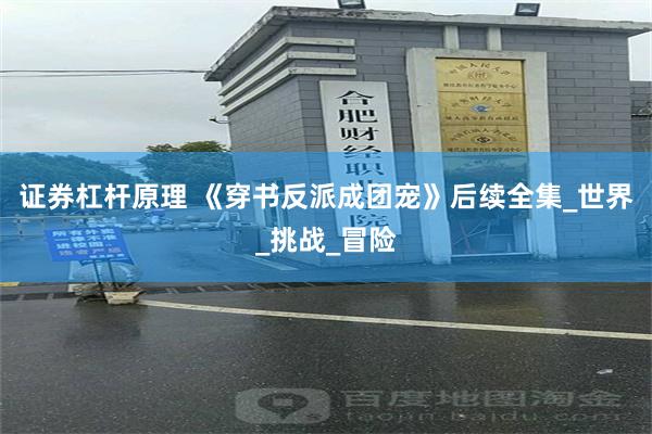 证券杠杆原理 《穿书反派成团宠》后续全集_世界_挑战_冒险