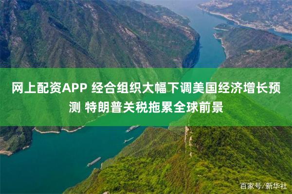 网上配资APP 经合组织大幅下调美国经济增长预测 特朗普关税拖累全球前景