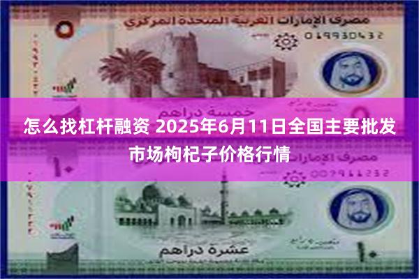 怎么找杠杆融资 2025年6月11日全国主要批发市场枸杞子价格行情