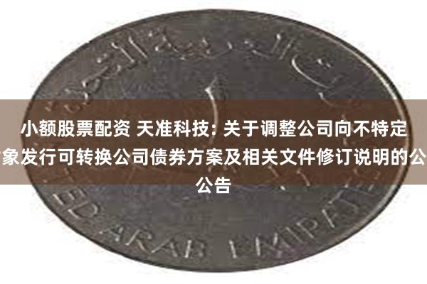 小额股票配资 天准科技: 关于调整公司向不特定对象发行可转换公司债券方案及相关文件修订说明的公告