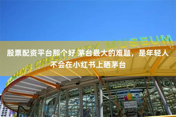 股票配资平台那个好 茅台最大的难题，是年轻人不会在小红书上晒茅台
